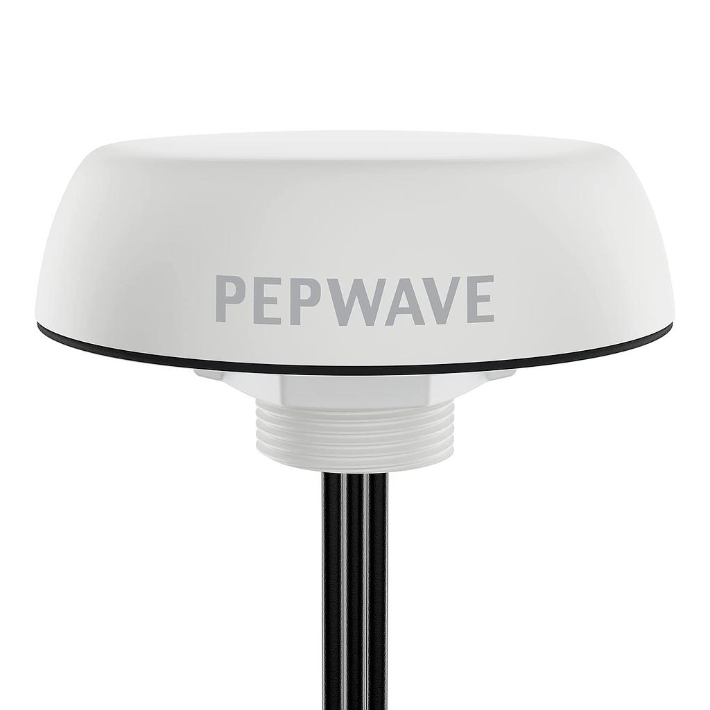 Peplink mobility 20G antenna, 5G ready, IP68 rated, 2m