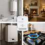 Qoltec certified wireless gas leak (CH4) & carbon monoxide (CO) detector, sensor service life 5 years, 85dB alarm, LED